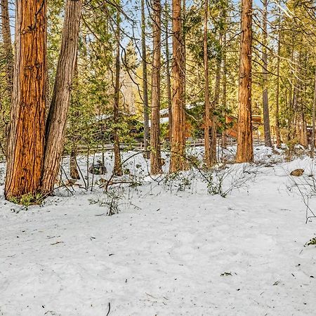 Hotel Creekside Cabin Idyllwild Exterior foto