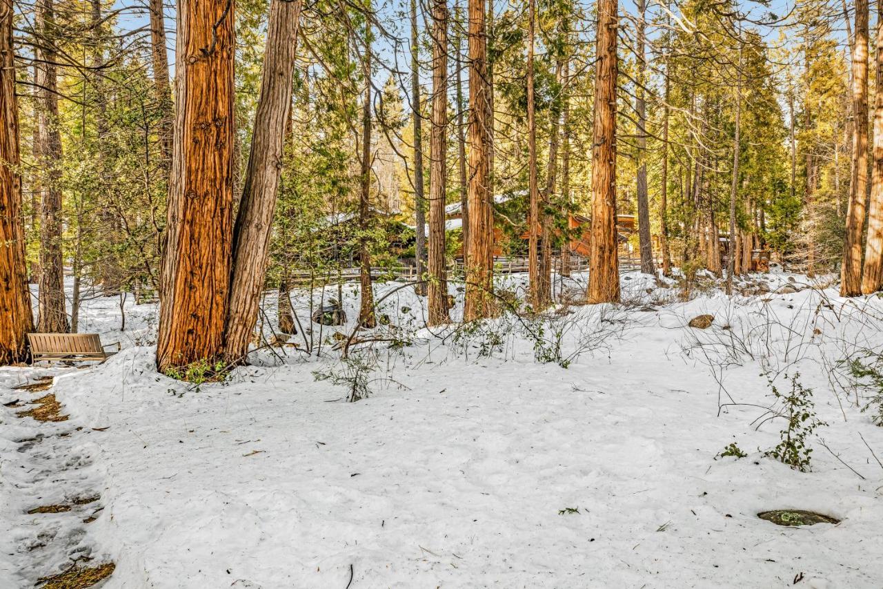 Hotel Creekside Cabin Idyllwild Exterior foto